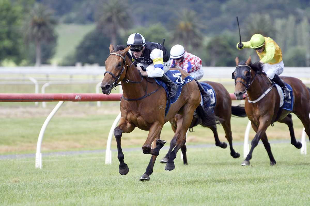 In-form Tellum on target for Wanganui