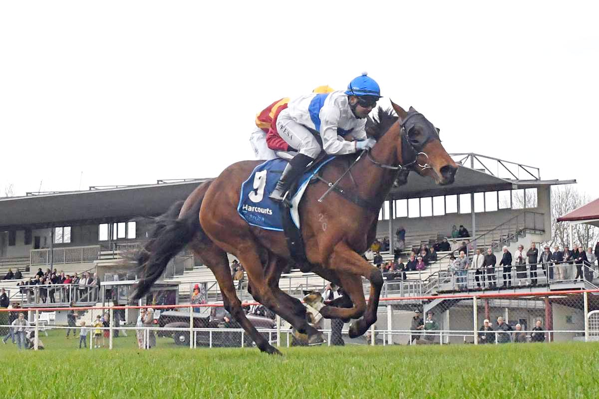 Kiwis seeking to recapture Jericho Cup