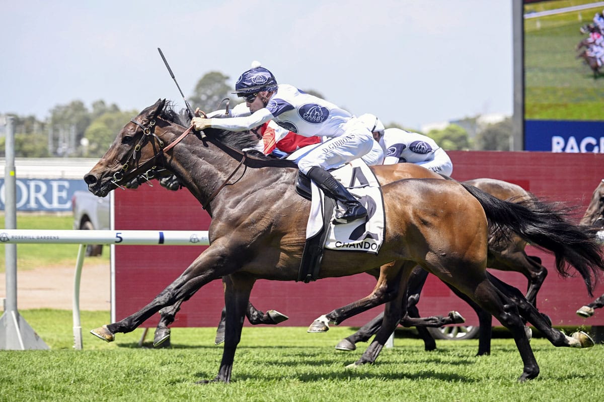 Game performance by Thebudgiesmugla