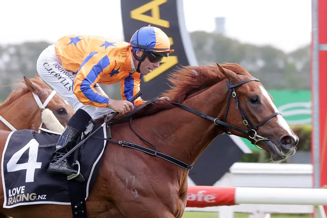 Full circle moment for retiring Wild Night