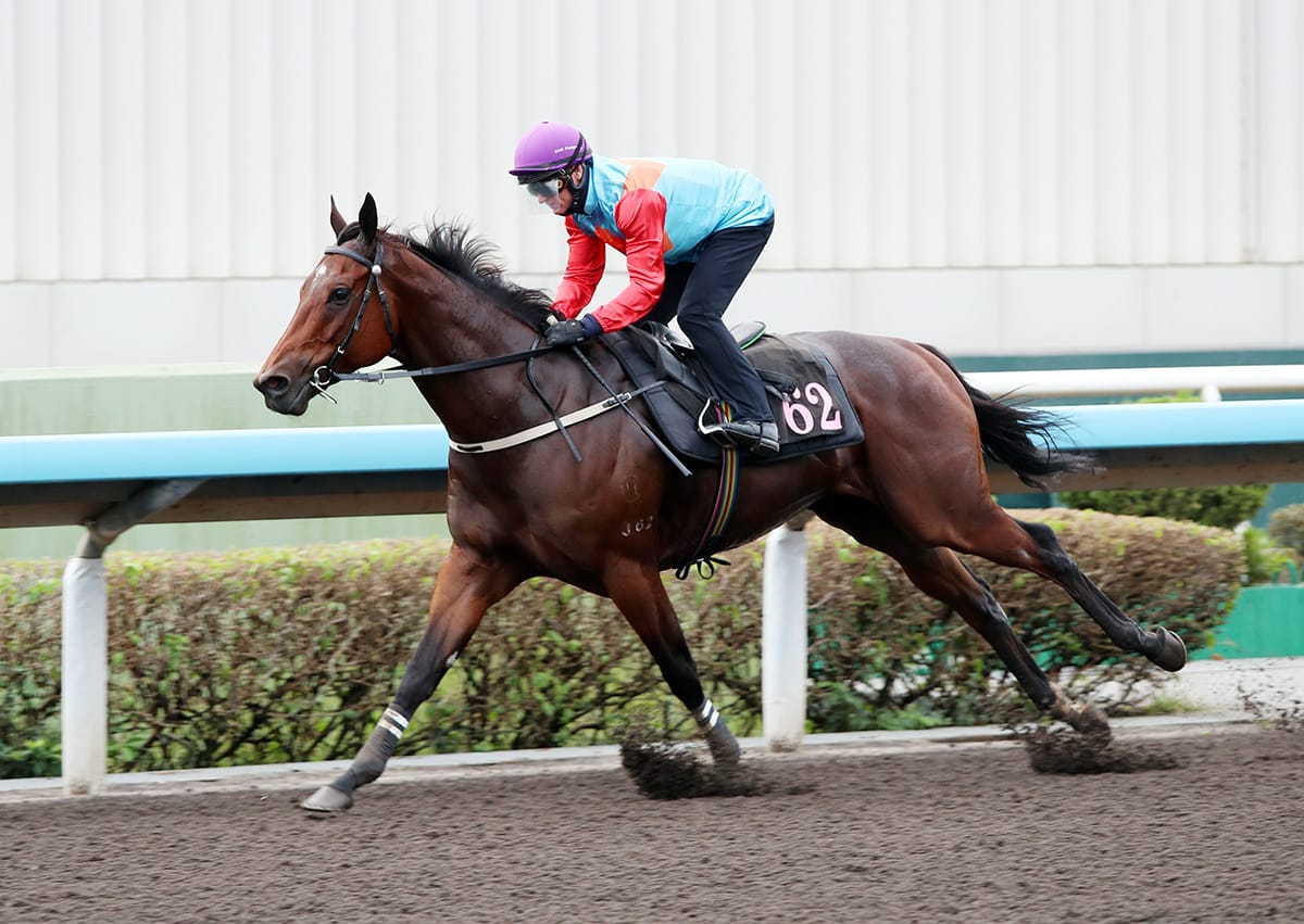 Dominant Ka Ying Rising trials at Sha Tin
