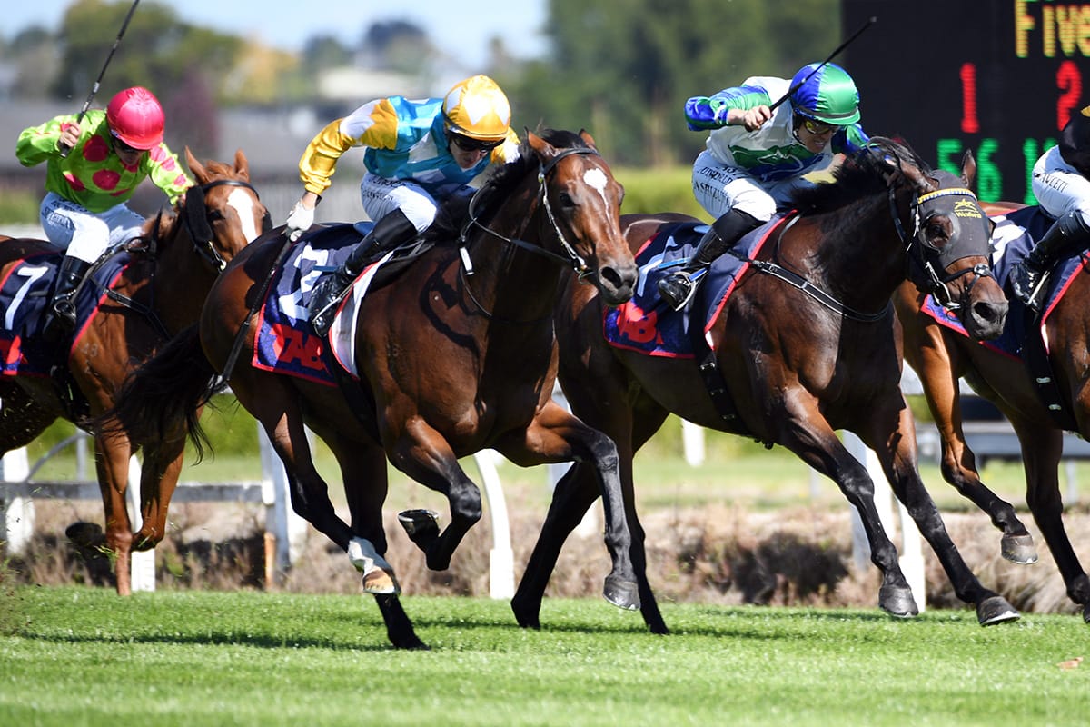 Upset hope in fine fettle for Guineas