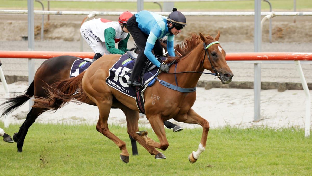 Crocetti back on track for Telegraph