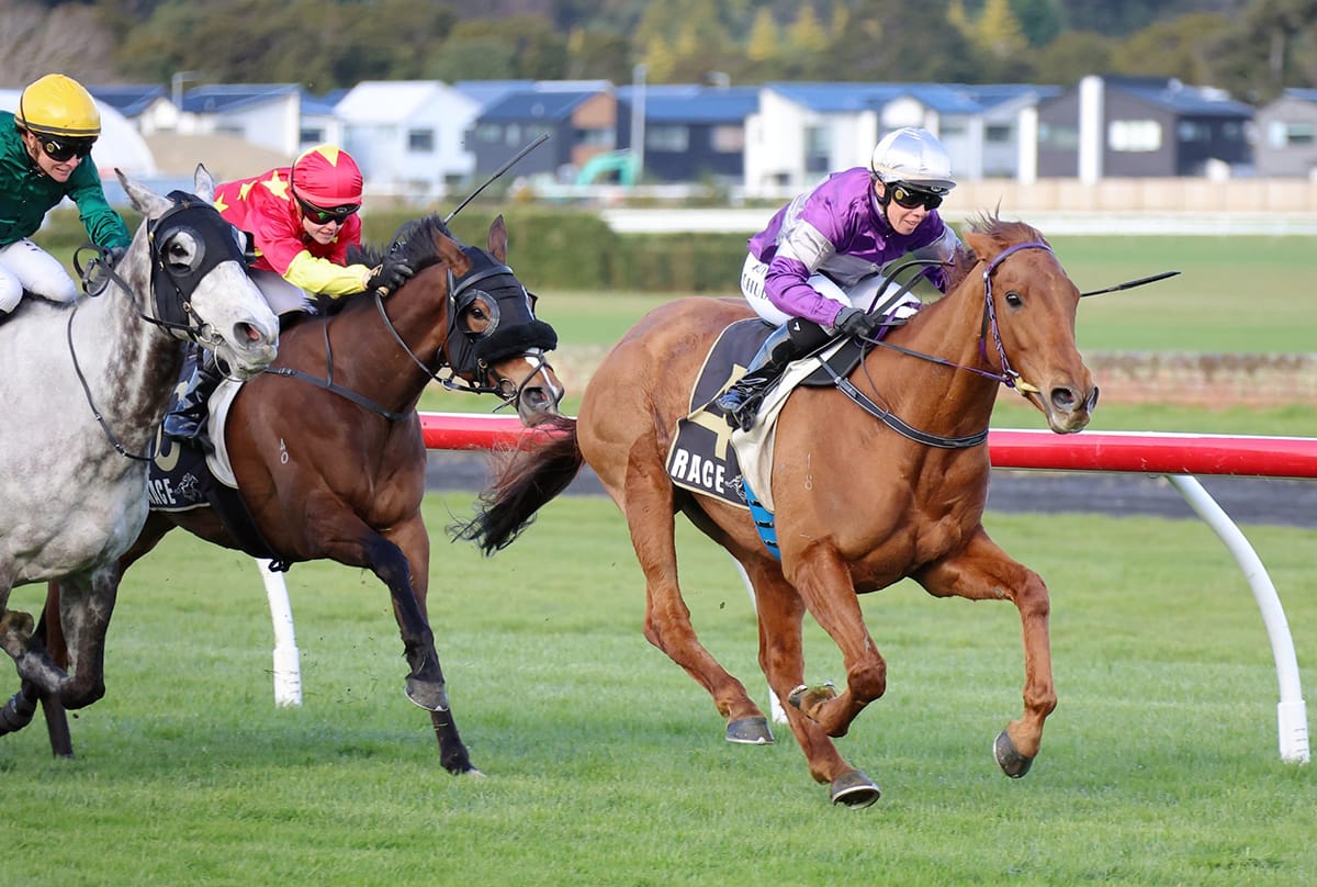 Ears Back returns to happy hunting ground