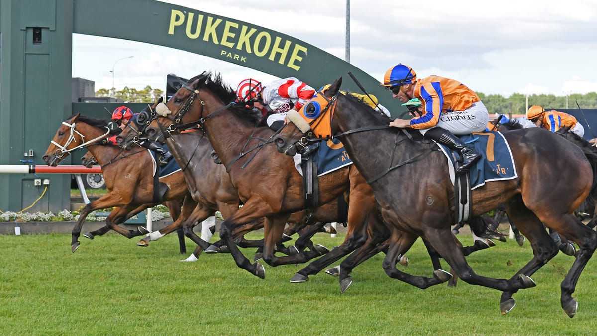 In-form stayer set for Ellerslie return