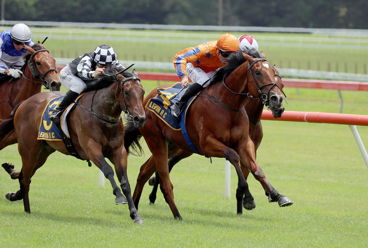 Kinnaird Karaka Millions-bound after debut win