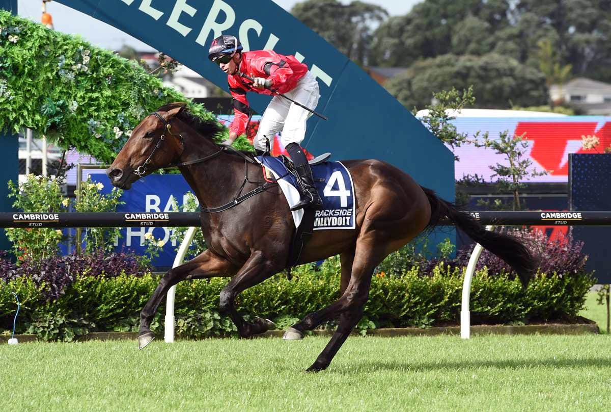 Derby winner Dee Ellerslie-bound again