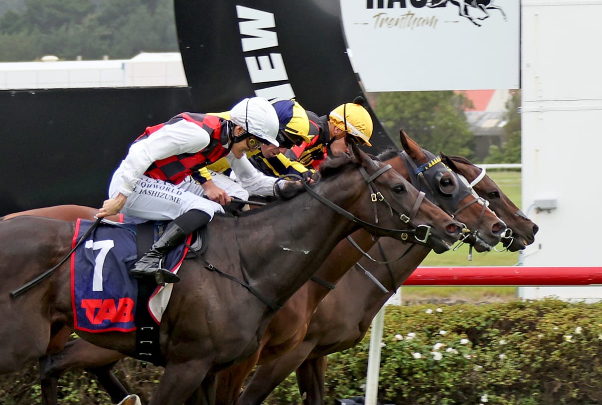 Provence clinches close finish in Trentham Group One