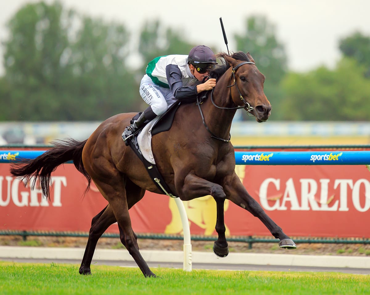Touchdown completes Caulfield treble