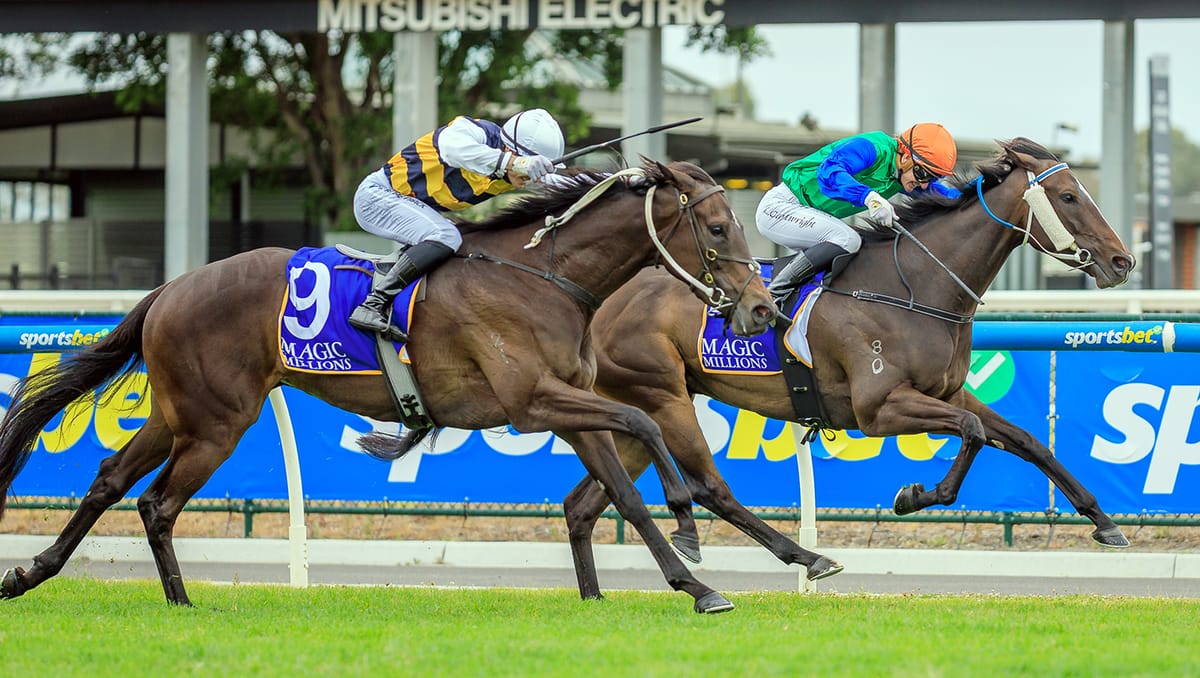 Roadcone delivers Caulfield double for Almanzor