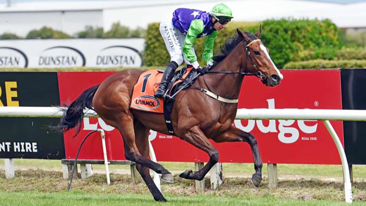 Wexford looking to Te Rapa with proven and fresh talent