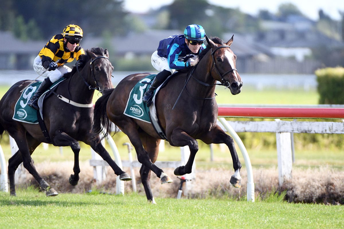 Rich Ellerslie prize beckons emerging mare