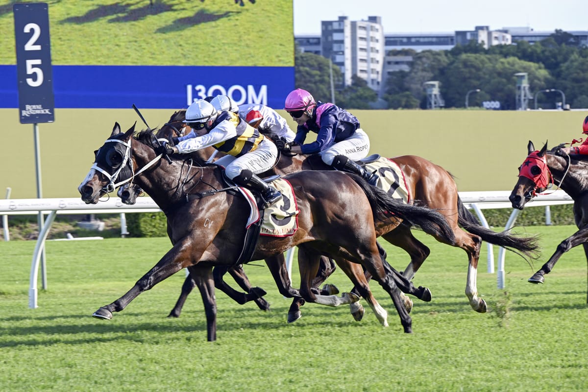 Step Aside strikes again at Randwick