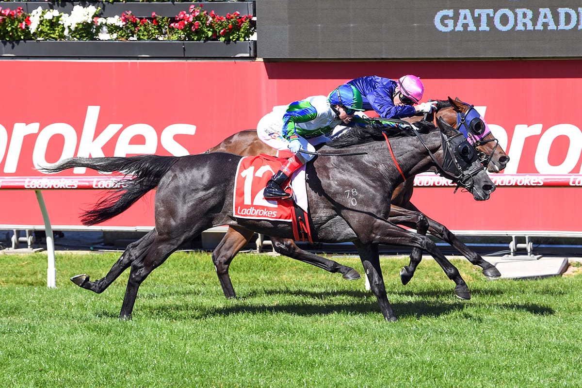 Sun Gift salutes at Cranbourne