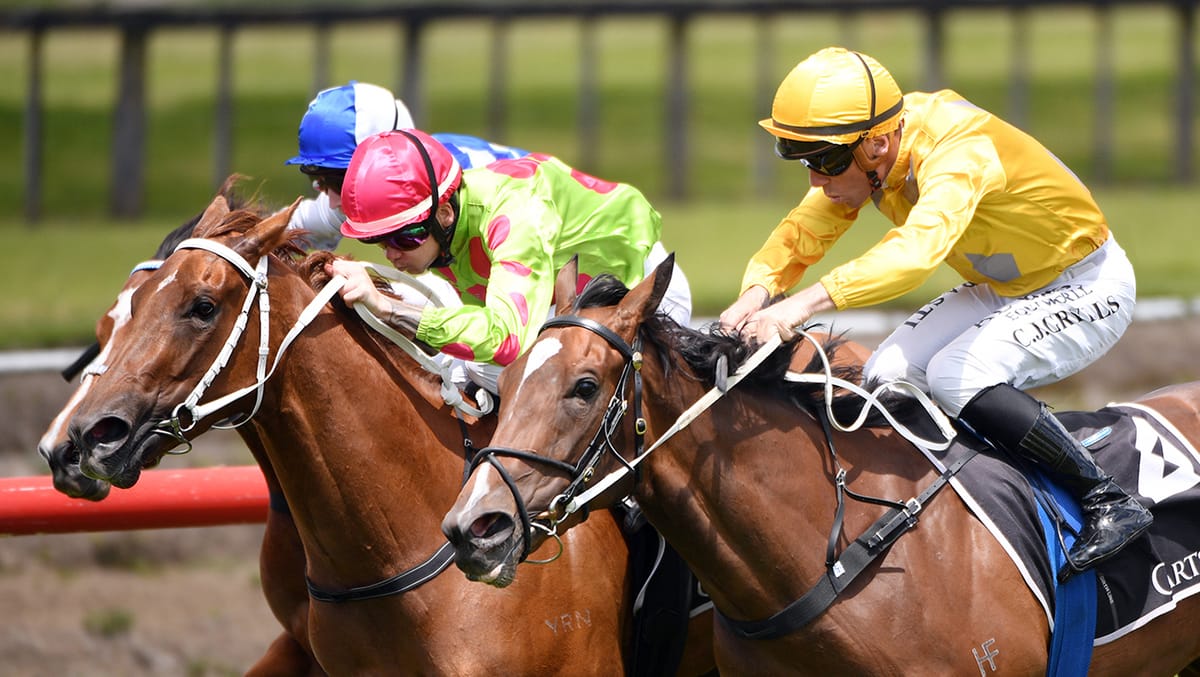 War Princess to answer mile query