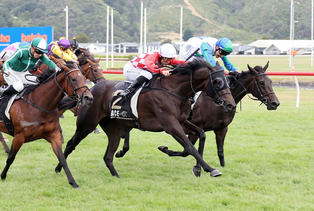 James and Wellwood quinella Desert Gold Stakes