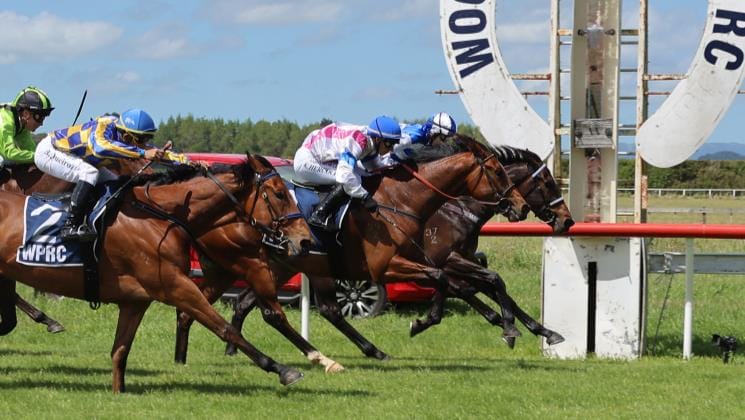 Nickalls chasing Oaks dream with promising filly