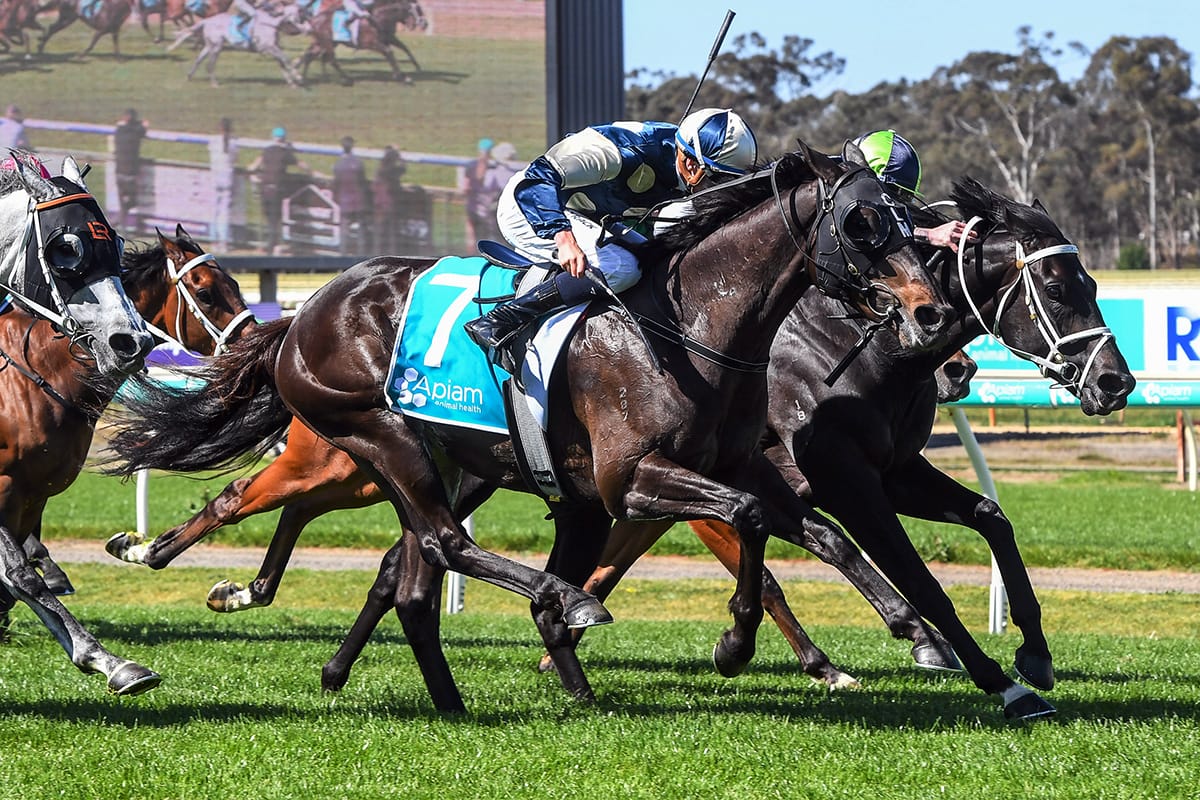 Cartwright reuniting with old boss in Wellington Cup