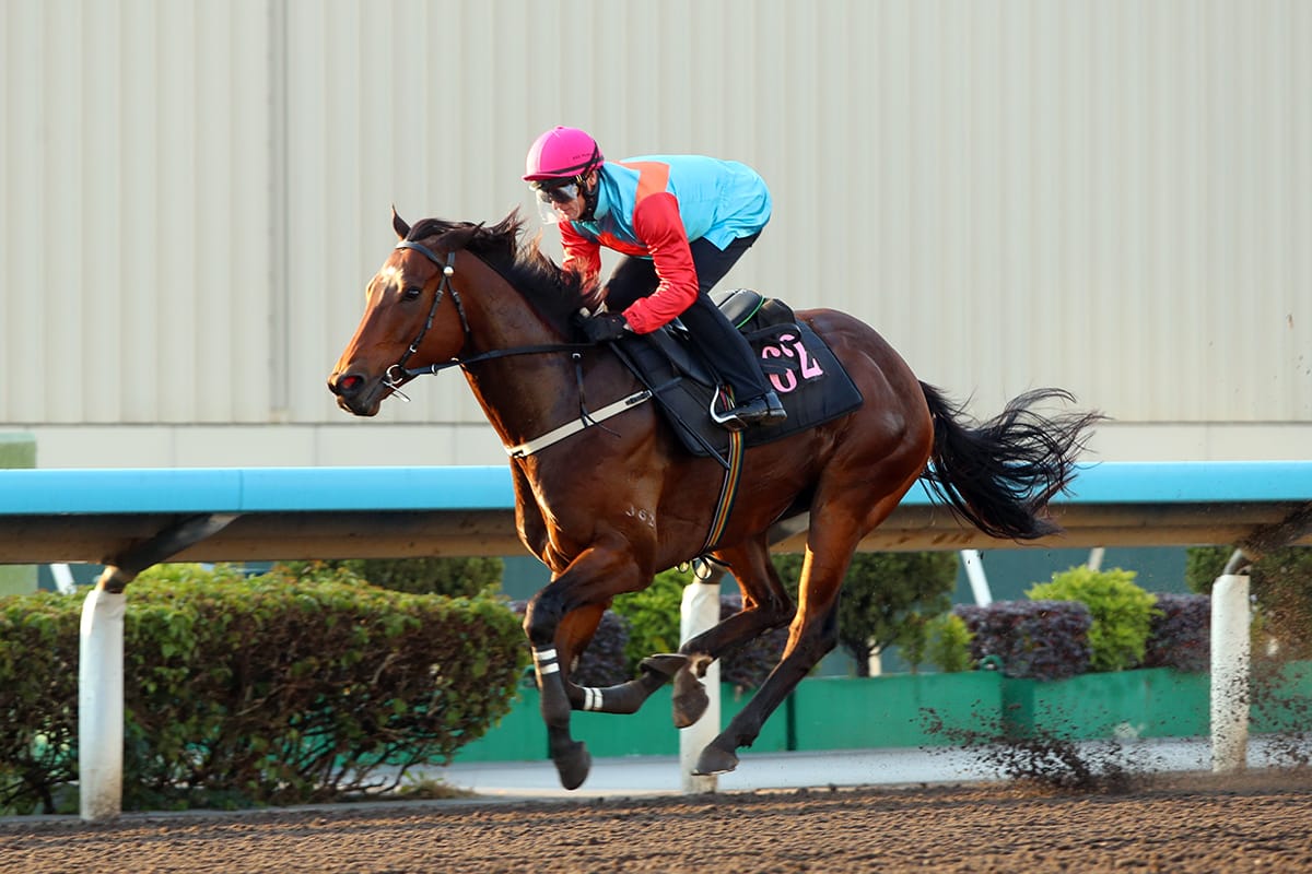 Ka Ying Rising impresses in Sha Tin barrier trial