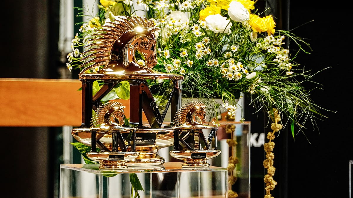 Favourites Fare Well in Karaka Millions 2YO Barrier Draw