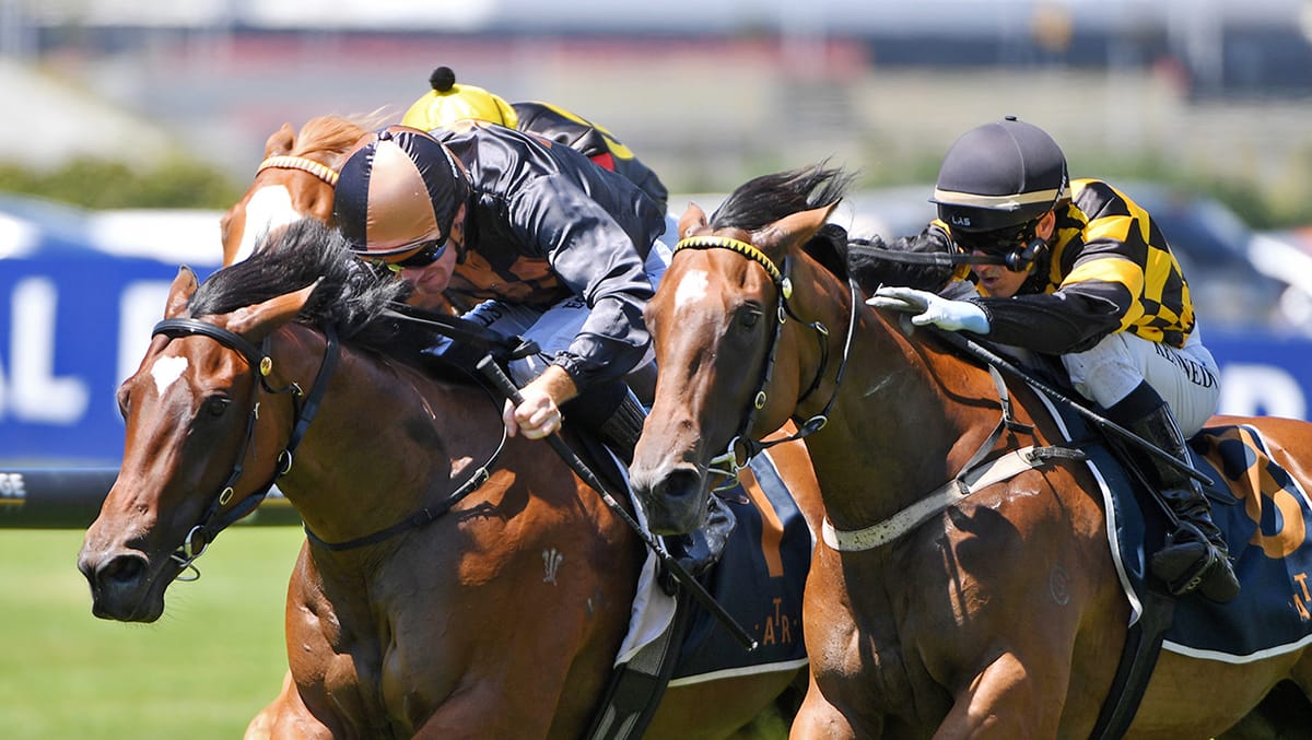 Liguria takes out Ellerslie juvenile feature