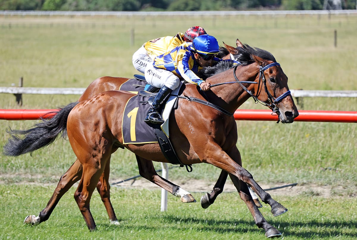 Promising three-year-old to test Derby credentials