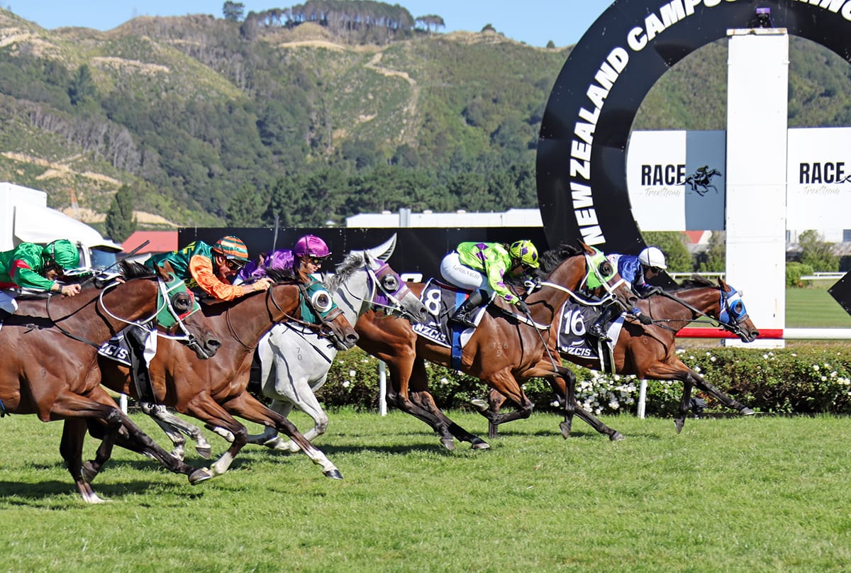 Manzor Blue upsets in Wellington Cup
