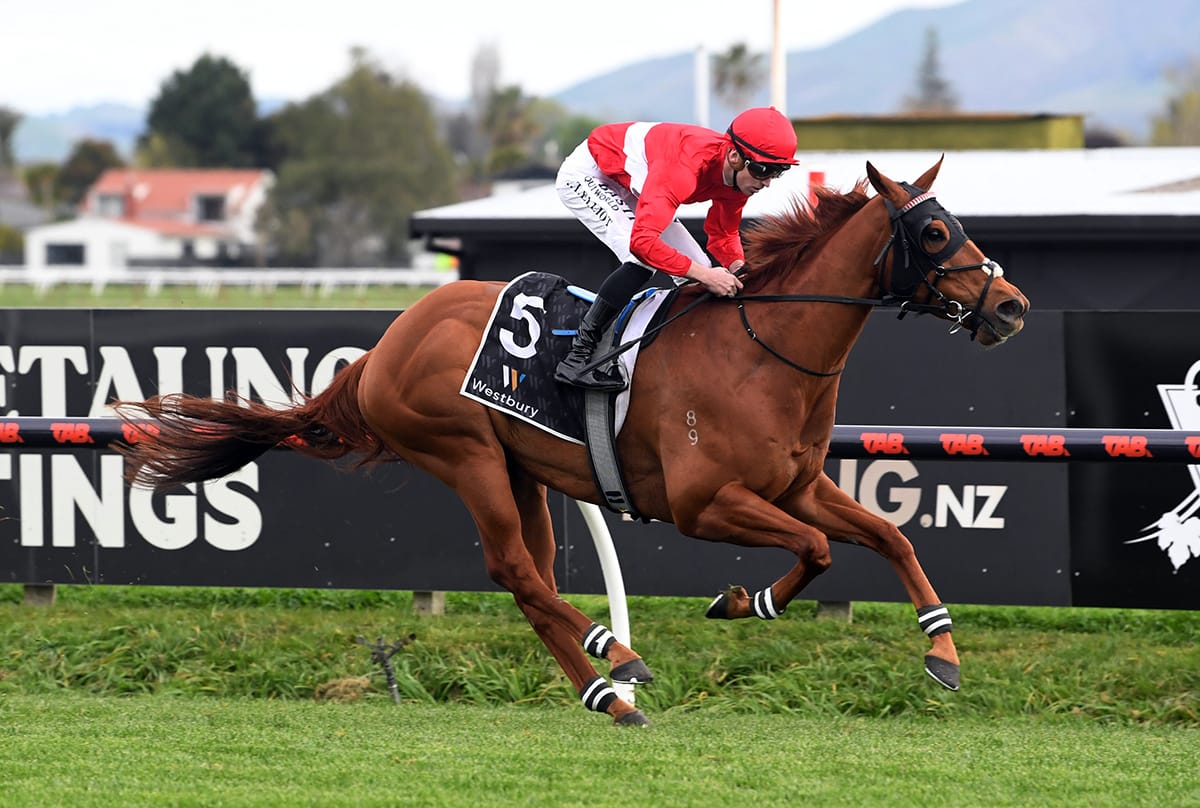 Oaks plan falling into place for promising filly