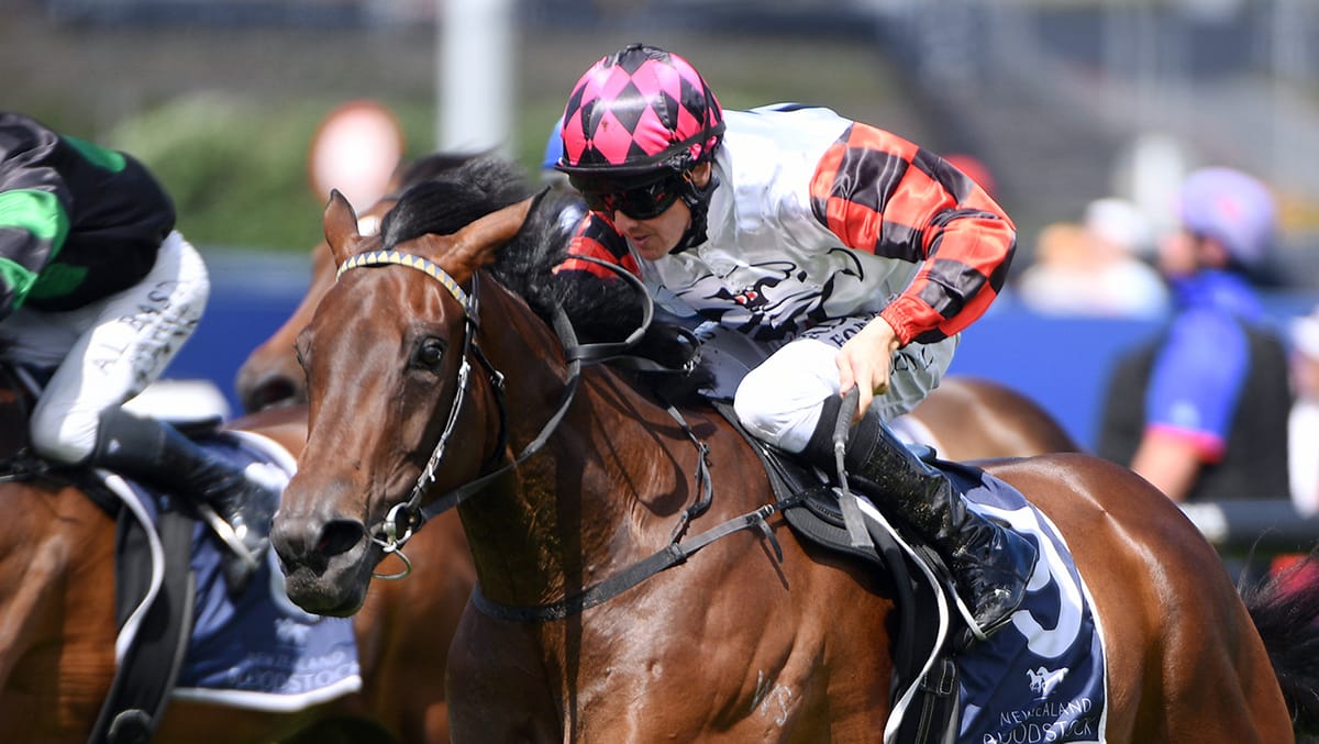 Ohope Wins bolts home in Sir Patrick Hogan Stakes