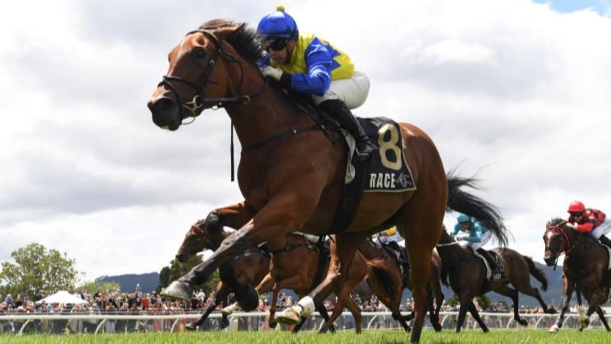 Stakes targets looming for well-related filly