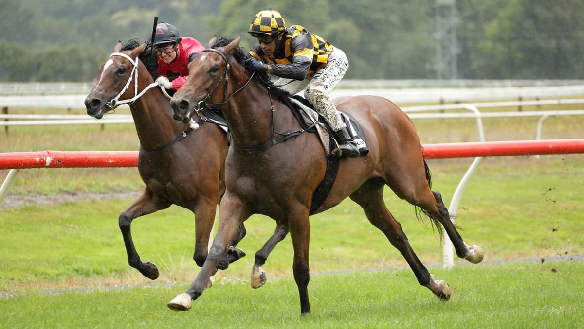 Anxious wait to state the obvious with promising filly