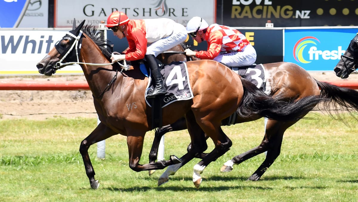 Super Photon bounces back at Tauranga