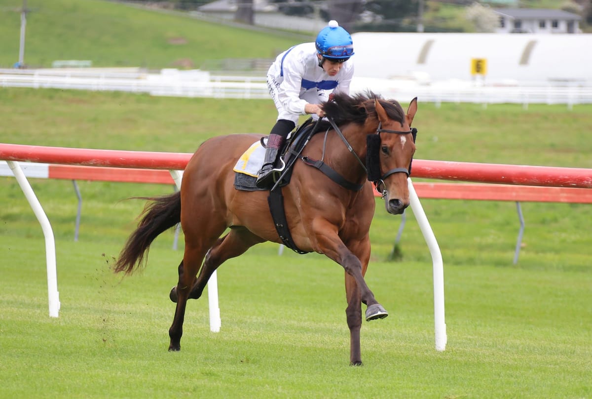 Pukekohe detour pays off for Tajana