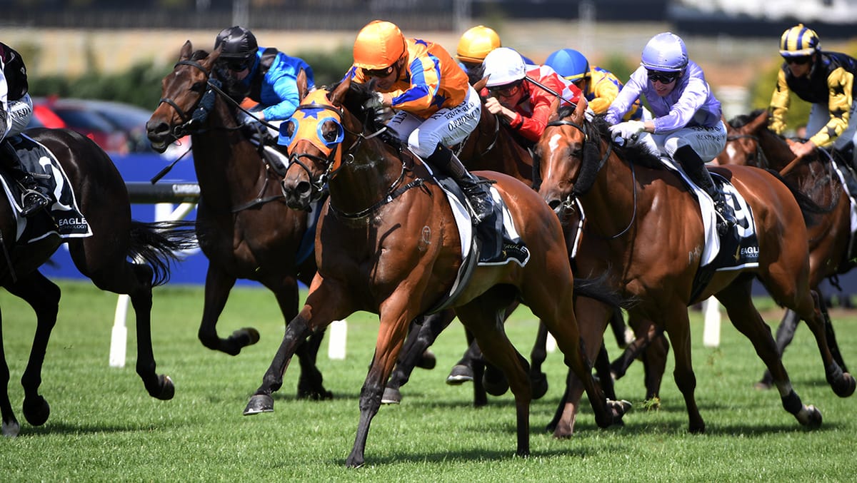 Te Akau set their sights on NZ Derby with exciting three-year-old