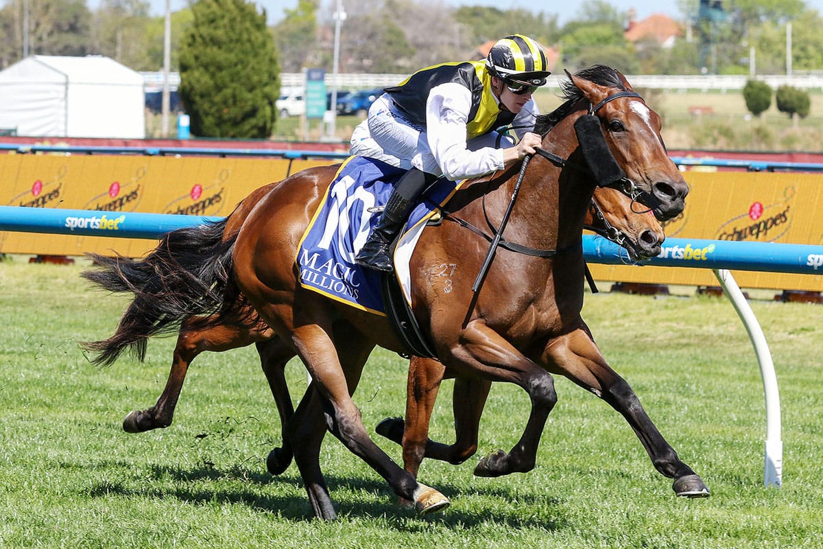 Brothers chasing further NZ honours
