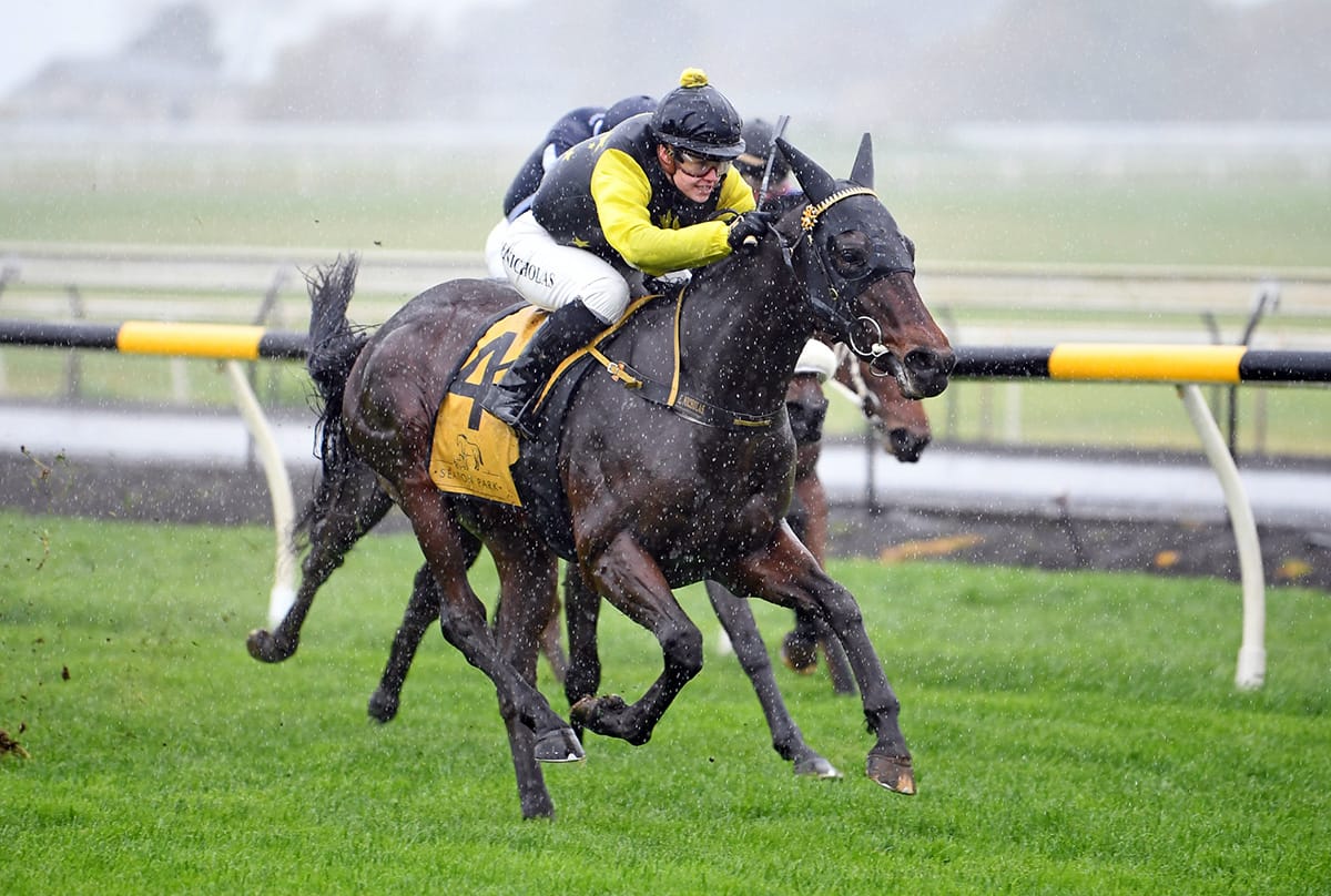 Diminutive Derby hope standing tall for Bidlake