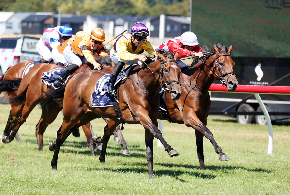 Patterson goes back-to-back in Lowland