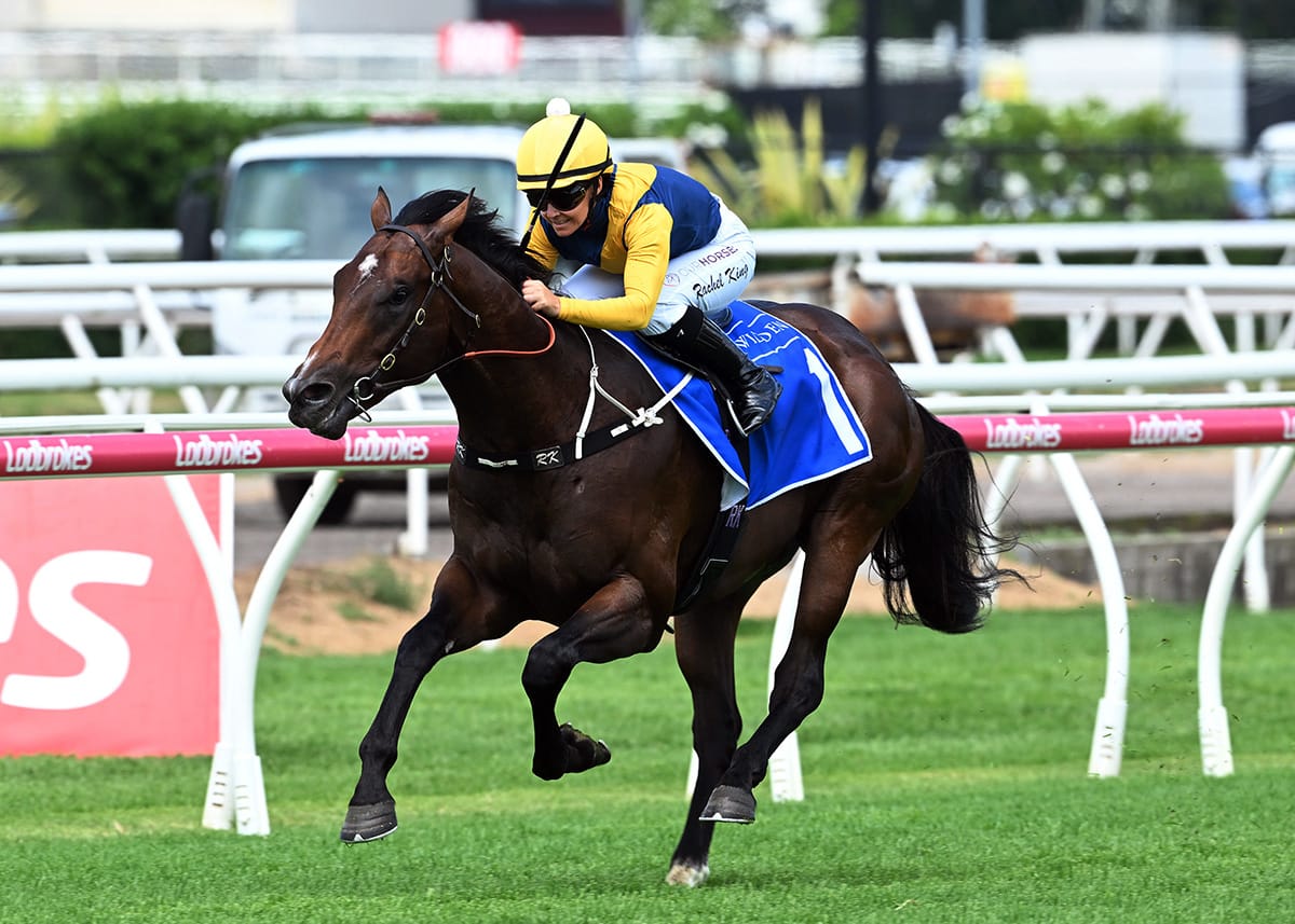 Warwoven dominant at Eagle Farm