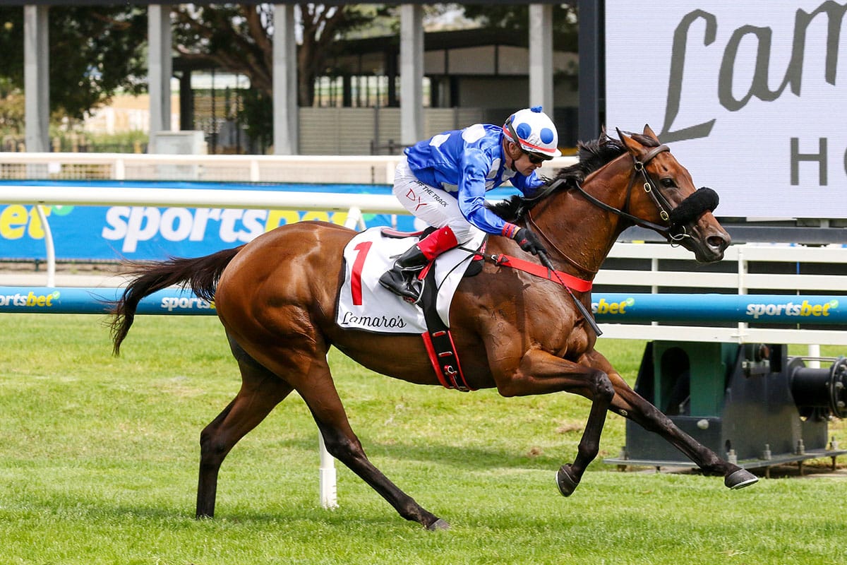 Wrote To Arataki claims second Geoffrey Bellmaine