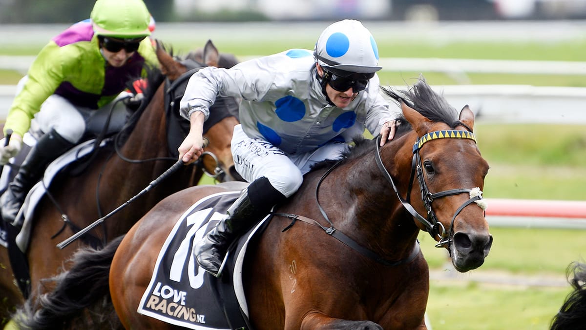 Yamato Satona ready for Ellerslie feature