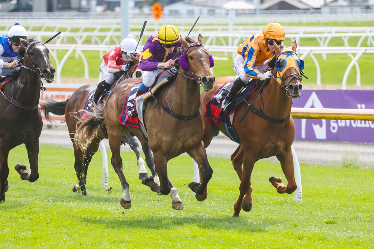 Robinson hoping to repeat history in Dunedin Guineas