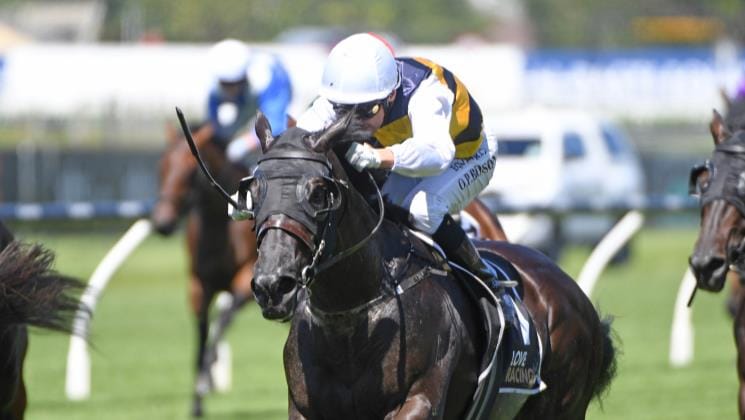 Quality 3YO gets chance to fulfil his distance destiny