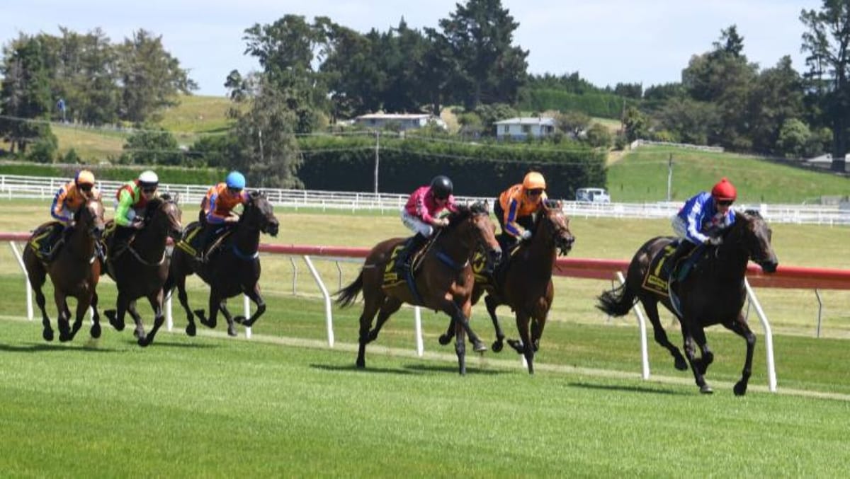Alabama Lass on track to defend King’s Plate crown