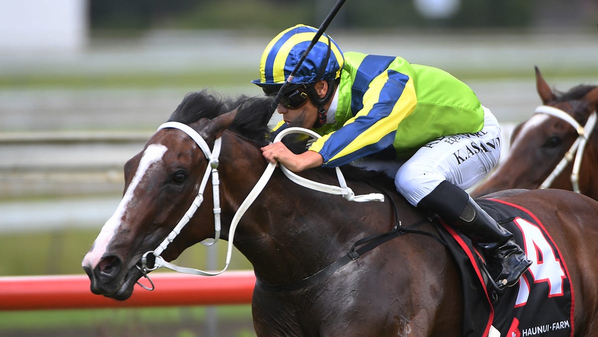 Barrier blues continue for gifted Ardalio