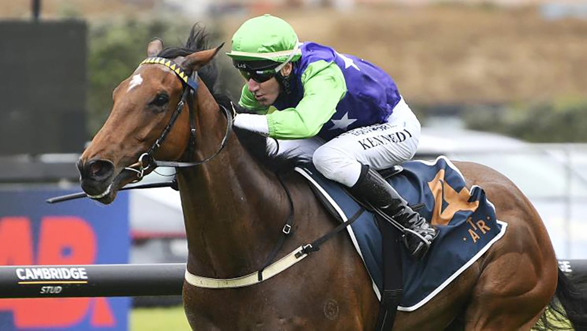 Home mile test for Checkmate