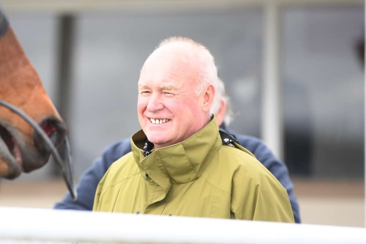 Wood notches up 500th NZ training win in style