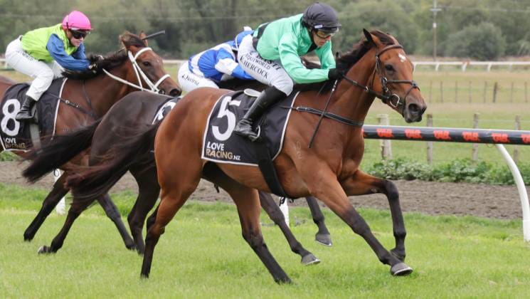 Local double for Wilson