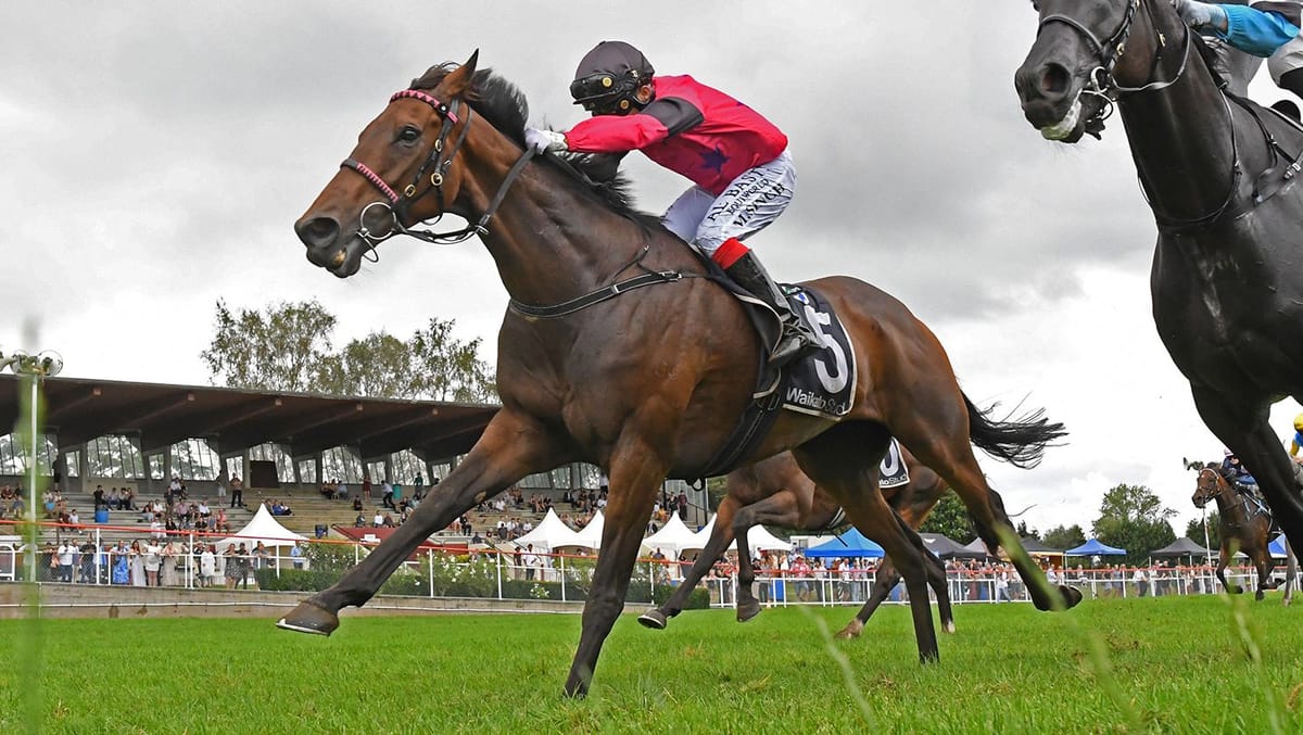 Enrico cascades home to snare Wairere Falls