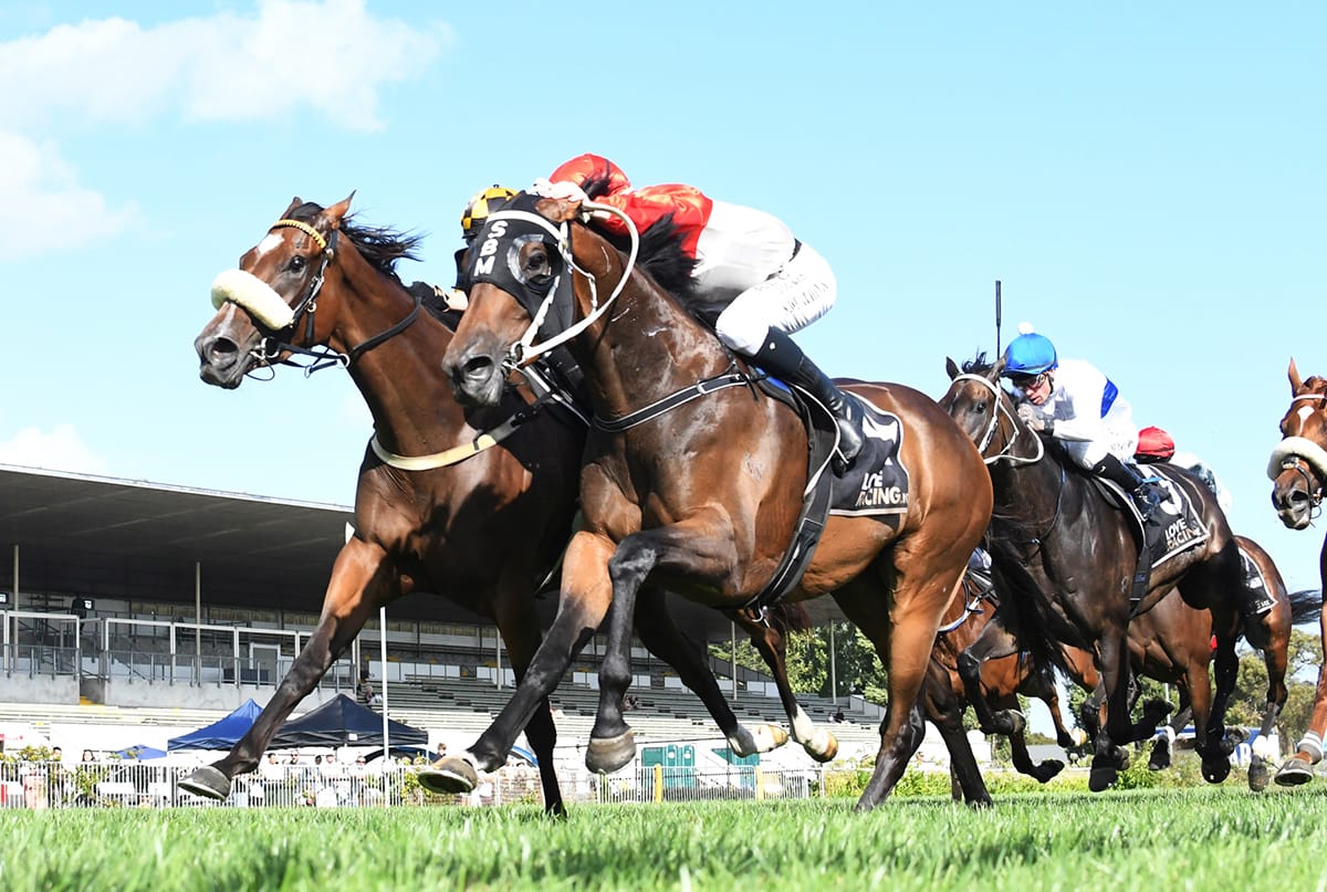 Financier to make long-awaited return