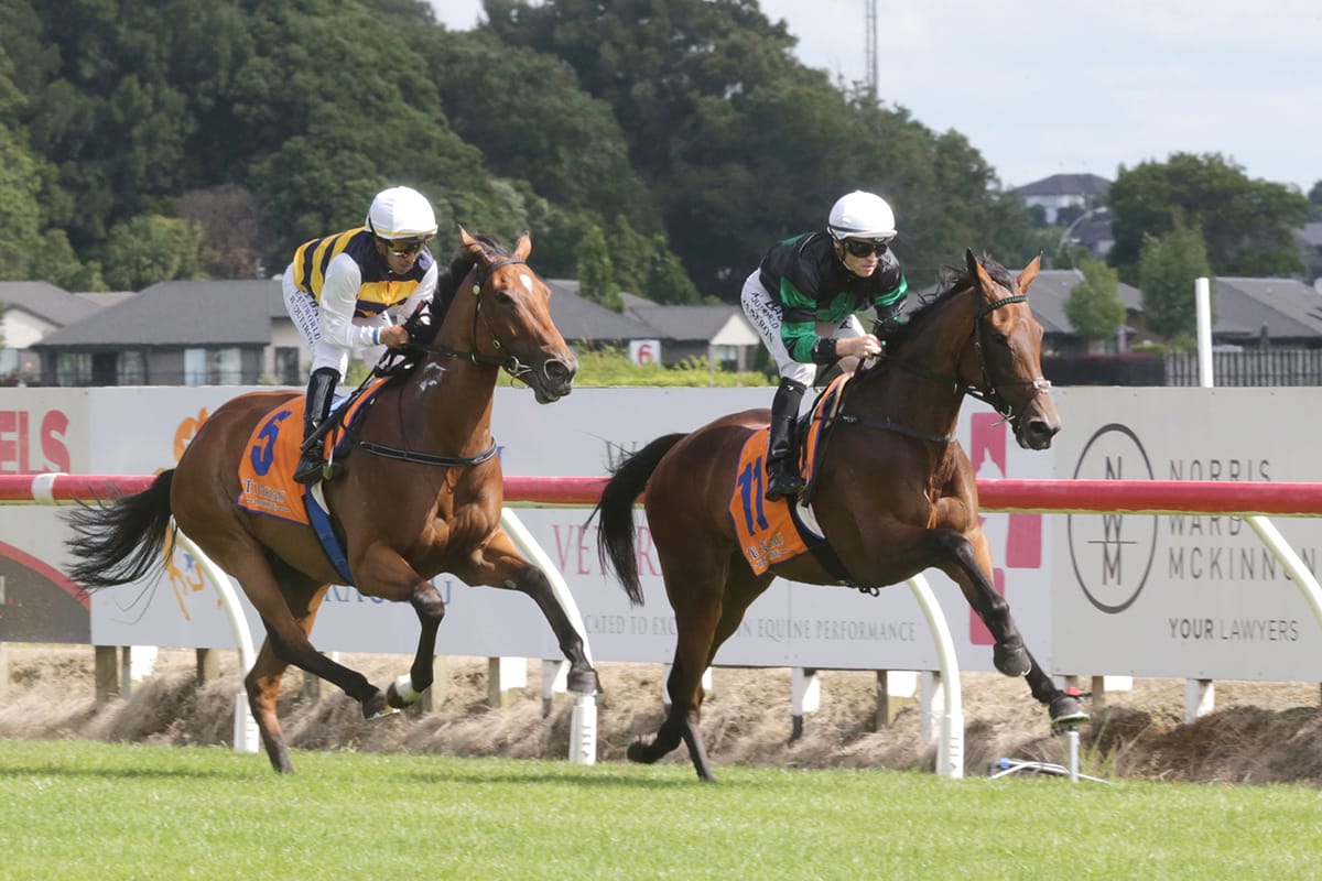 Fly Zenno to fulfil Oaks dream